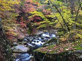 IMG_5436-1