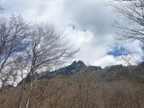 IMG_3699 (2)