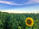IMG_5484 (2)