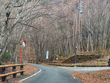 IMG_3919-1