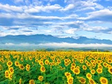 IMG_6716-1