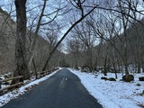 IMG_4911