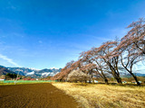 IMG_8205-1
