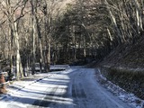 IMG_4568