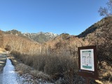 IMG_4917