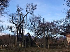 IMG_3558 (2)