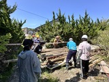 IMG_5969