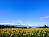 IMG_6287