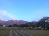 IMG_3728 (2)