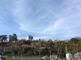 IMG_6853