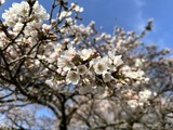 IMG_8193