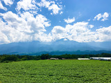 IMG_8752-1