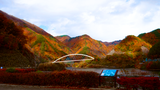 01_DSCF7269