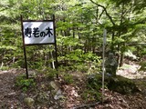 IMG_E2972