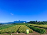 IMG_1259
