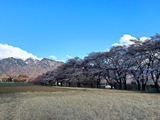 IMG_4103-1 (2)