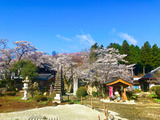 IMG_7966-1-1