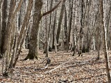 IMG_7166