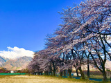 IMG_E4107-1