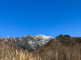 IMG_E4553
