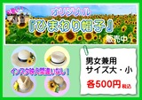 �Ҥޤ��˹��