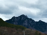 IMG_3751-1