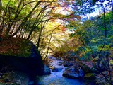IMG_1265