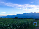IMG_5486-1