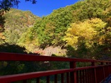 IMG_1407