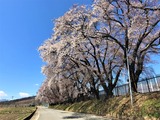IMG_4255 (2)