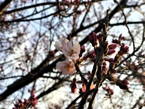 IMG_3574 (2)
