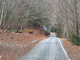 IMG_3916-1