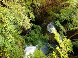 IMG_1416
