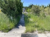 IMG_5967