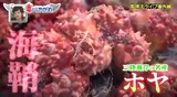 wmv_003011510