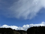 IMG_4568