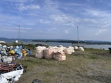 IMG_9556