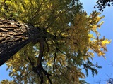 IMG_E2357