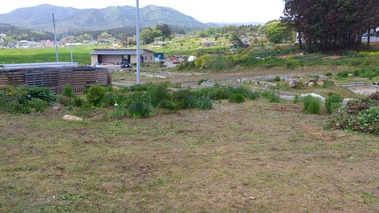 26pict036