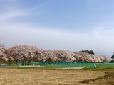 IMG_E0828