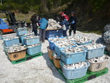 5月25日牡鹿半島_松岡002