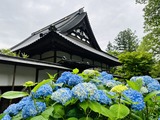 IMG_2339