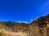 IMG_1320
