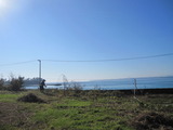 2511102 008