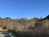 IMG_4919