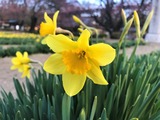 IMG_3553 (2)