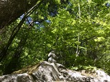 IMG_E2958