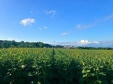 IMG_9968-2