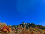 IMG_1339