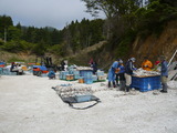 5月25日牡鹿半島_松岡017